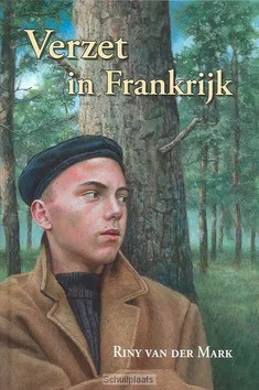 Koopje VERZET IN FRANKRIJK