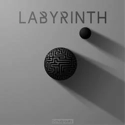 Meest Verkocht LABYRINTH