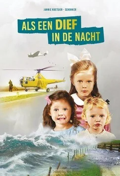 Betaalbaar ALS EEN DIEF IN DE NACHT