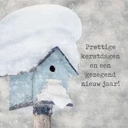 MINIKERSTKAART BESNEEUWD VOGELHUISJE Exclusieve Aanbieding