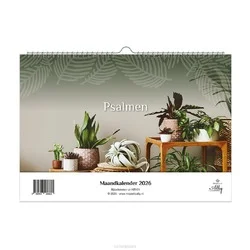 Snelle Levering MAANDKALENDER MAJESTIC ALLY