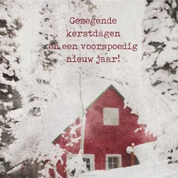 Tijdelijk Beschikbaar MINIKERSTKAART SNEEUWHUIS