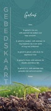 Lage Kosten GEBEDSKAART GELOOF