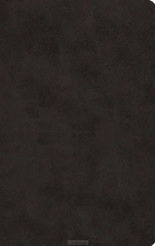 ESV - LP VALUE THINLINE BIBLE Merkproduct