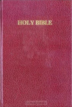ENGELSE BIJBEL KJV E9A Tijdelijk Beschikbaar