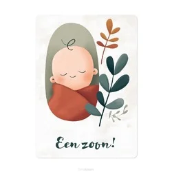 KAART EEN ZOON Goedkoop