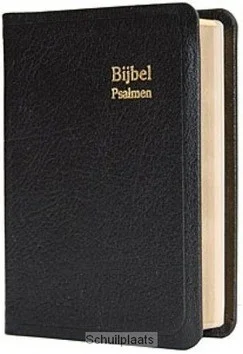 DAMESZAKBIJBEL D32D LEER GOUDSNEE Koop Vandaag