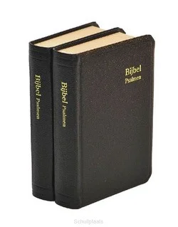 Finale Uitverkoop HERENZAKBIJBEL H31R RITMISCH KUNSTLEER