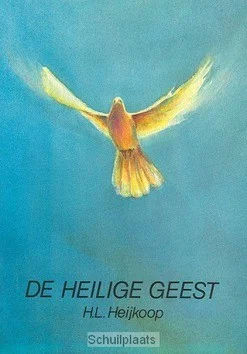 Rechtstreeks Van De Fabrikant HEILIGE GEEST