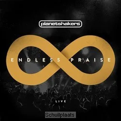 Lage Prijs ENDLESS PRAISE CD