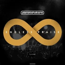 ENDLESS PRAISE CD/DVD Goedkoop