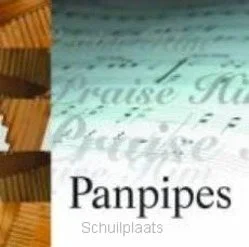 Betaalbaar PRAISE PANPIPES