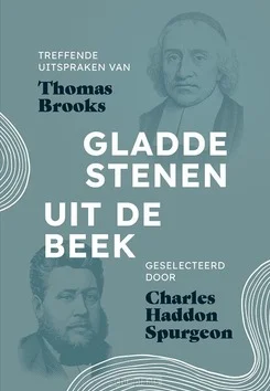 Meest Verkocht GLADDE STENEN UIT DE BEEK