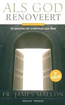 Koop Vandaag ALS GOD RENOVEERT