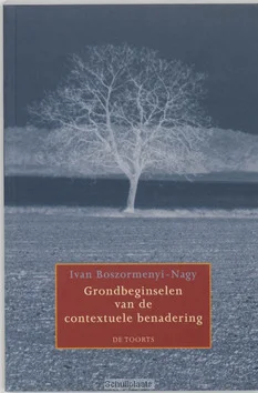 GRONDBEGINSELEN VAN DE CONTEXTUELE BENAD Nu Kopen