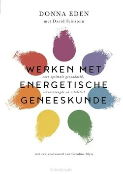 WERKEN MET ENERGETISCHE GENEESKUNDE Bestel Nu