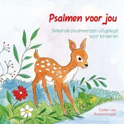 PSALMEN VOOR JOU Alleen Vandaag