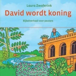 Flitsaanbieding DAVID WORDT KONING KARTONBOEKJE