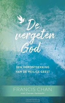 Dagaanbieding DE VERGETEN GOD