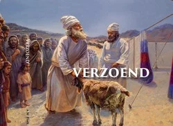 Koopje VERZOEND