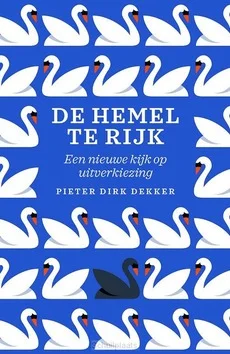 DE HEMEL TE RIJK Rechtstreeks Van De Fabrikant