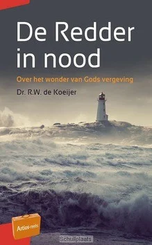 Lage Prijs DE REDDER IN NOOD