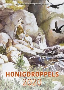 HONIGDROPPELS 2020 DAGBOEK Rechtstreeks Van De Fabrikant