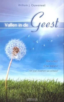 Goedkoop VALLEN IN DE GEEST