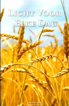 Must-Have LICHT VOOR ELKE DAG