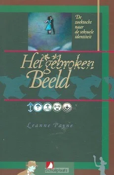 Koop Vandaag GEBROKEN BEELD