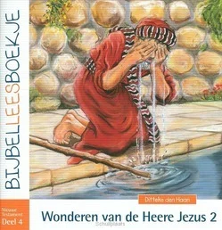 Koop Vandaag BIJBELLEESBOEKJE NT 4 WONDEREN 2