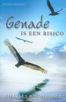 Bestel Nu GENADE IS EEN RISICO