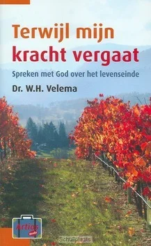 Bestseller TERWIJL MIJN KRACHT VERGAAT