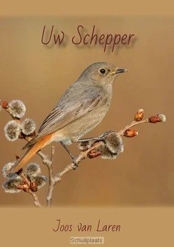 UW SCHEPPER Snelle Levering