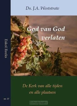 Tijdelijk Beschikbaar GOD VAN GOD VERLATEN