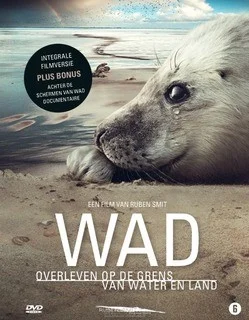 Aanbieding DVD HET WAD
