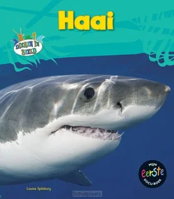Premium HAAI