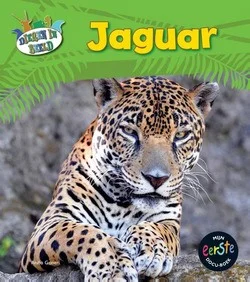 Beperkt Aanbod JAGUAR