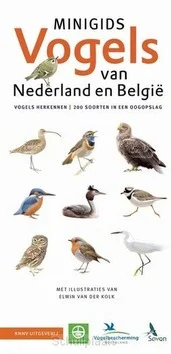 SET MINIGIDS VOGELS VAN NEDERLAND EN BEL Laatste Kans
