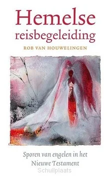 HEMELSE REISBEGELEIDING Lage Kosten