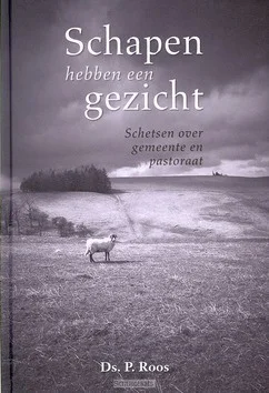 SCHAPEN HEBBEN EEN GEZICHT Laatste Kans