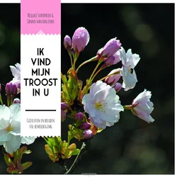 Goedkoop IK VIND MIJN TROOST IN U
