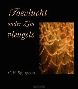 TOEVLUCHT ONDER ZIJN VLEUGELS Beste Prijs