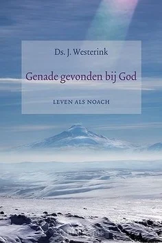 Betaalbaar GENADE GEVONDEN BIJ GOD