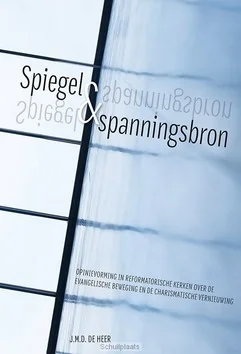 Betaalbaar SPIEGEL EN SPANNINGSBRON