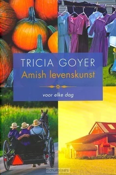 Superprijs AMISH LEVENSKUNST VOOR ELKE DAG