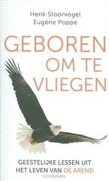 GEBOREN OM TE VLIEGEN Rechtstreeks Van De Fabrikant