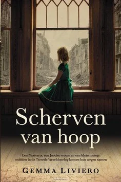 Lage Prijs SCHERVEN VAN HOOP