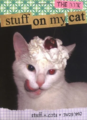 Stuff on My Cat Express Levering