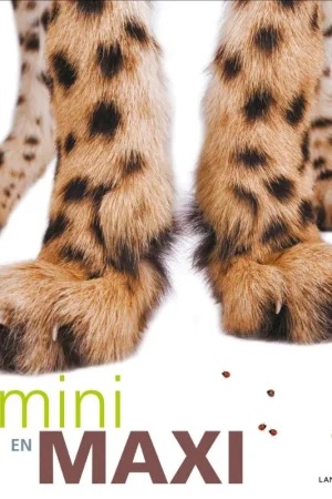 Betaalbaar Mini en Maxi